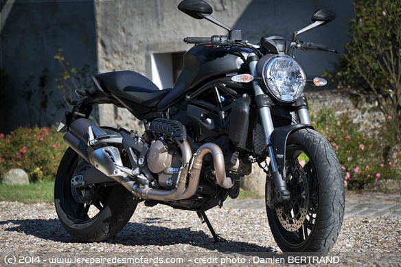 Monster 821 Dark