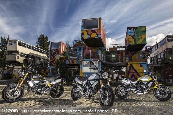 Les Scrambler 1100 Sport, Special et standard