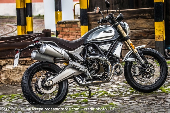 Ducati Scrambler 1100