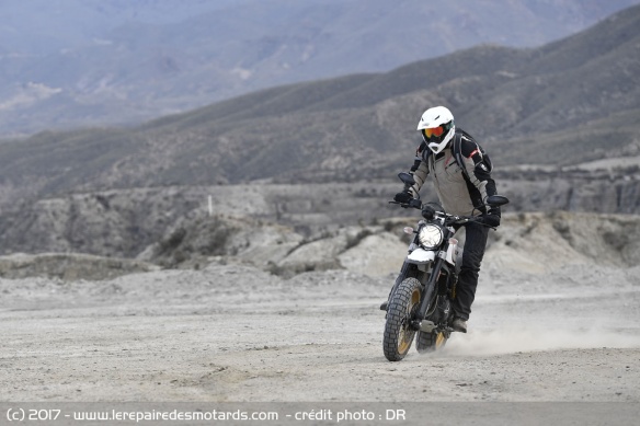 Ducati Scrambler Desert Sled