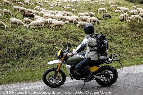 Position de conduite de la Fantic Caballero Rally 500