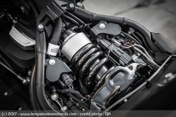 Le modèle passe du Dyna au Softail avec un amortisseur central