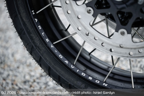 Les jantes à rayons de 17 pouces sont chaussées de pneus Michelin Scorcher