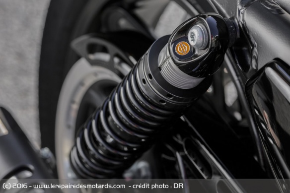 Amortisseur de la Harley-Davidson Roadster