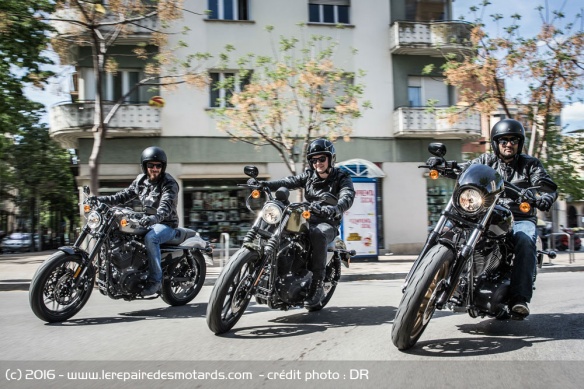 Harley-Davidson Roadster, dernier né de la gamme Dark Custom