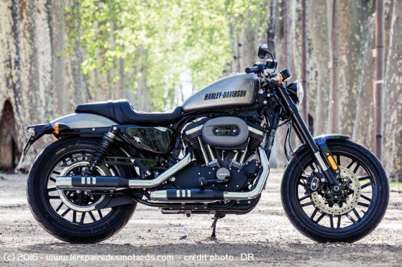 Harley-Davidson Roadster, dernier né de la gamme Dark Custom