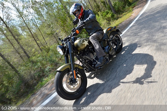 Harley-Davidson Softail Slim S en forêt