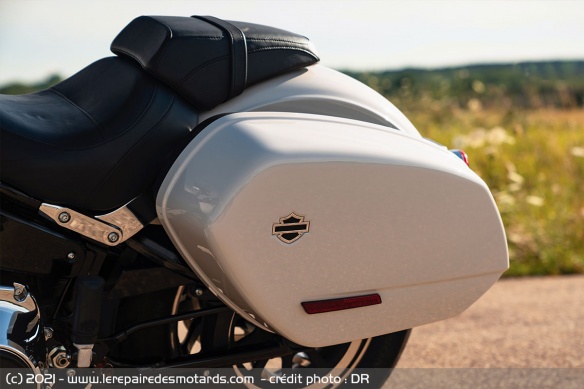 Valises dans la couleur de la moto