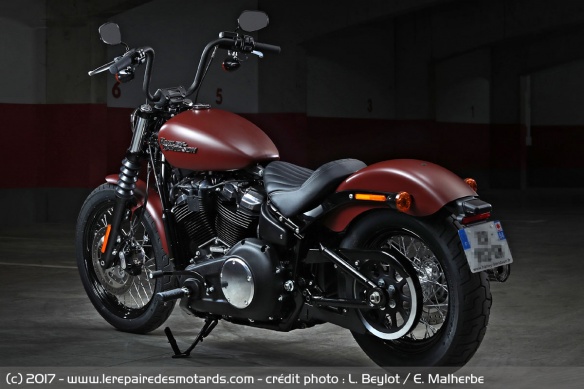 L'allure générale reste dans la lignée des Street Bob