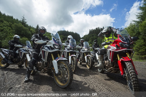 Toutes les Africa Twin dans la boue