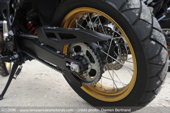 Transmission de la CRF1000L