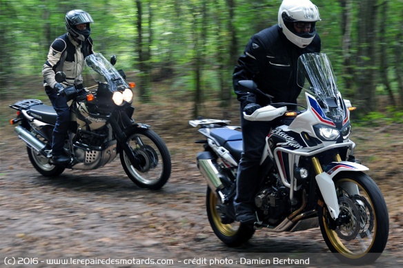 XRV 750 et CRF1000L en tout-terrain