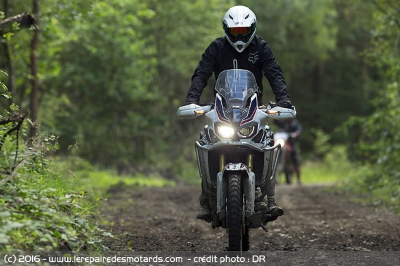 Honda Africa Twin en forêt