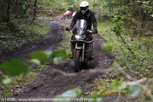 Honda Africa Twin en sous bois