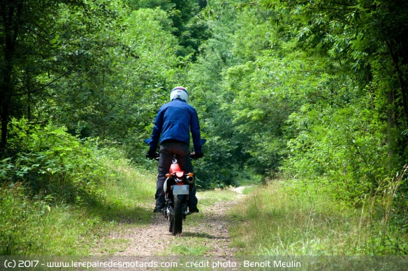 Essai Honda CRF250L en TT, de dos