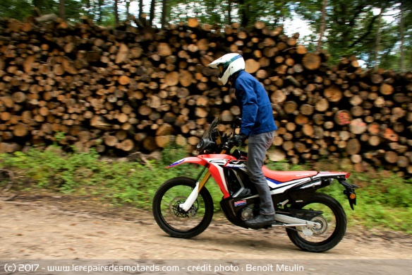 La Honda CRF250 Rally en TT