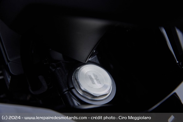 La fourche inversée Showa SFF-BP du Honda Forza 750