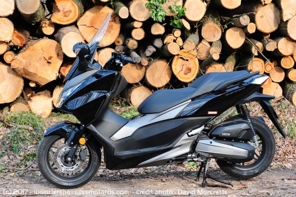 Honda Forza 125 ABS de coté