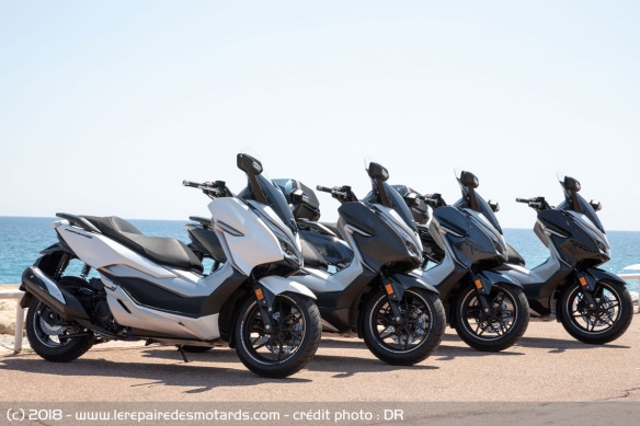 Le Forza 300 est décliné dans 4 coloris