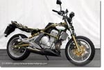Kawasaki ER-6 N