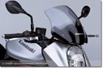 Kawasaki ER-6 N