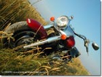 Kawasaki VN 1600