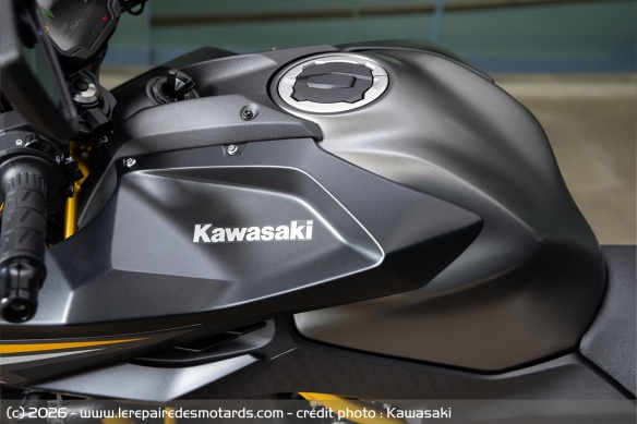 Kawasaki Z650 S