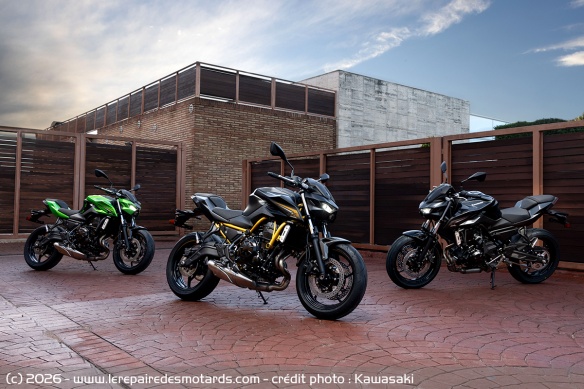 Kawasaki Z650 S