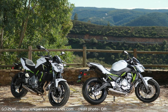 Coloris Kawasaki Z650