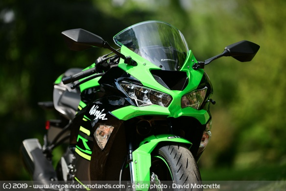 Plutôt vert ou noir ?