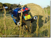 Kawasaki ZZR 1200