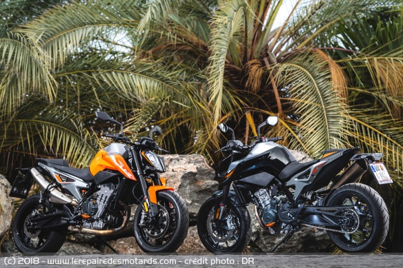 Deux coloris sont proposs
