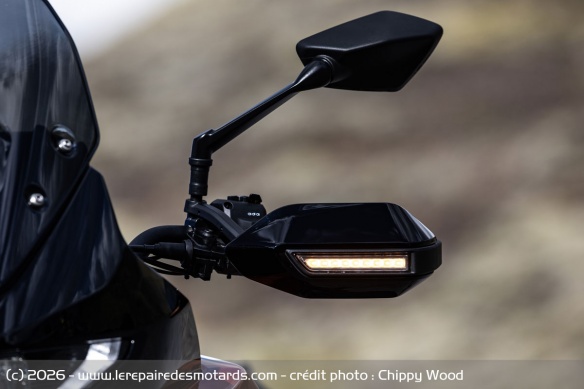 Les clignotants &agrave; LED int&eacute;gr&eacute;s aux r&eacute;troviseurs