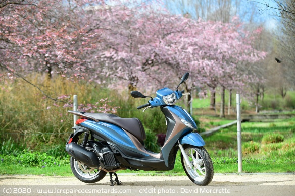 Un scooter à grande roue avec 16 pouces à l'avant