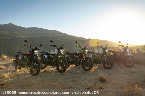 La Royal Enfield Bear 650 se décline dans une multitude de couleurs