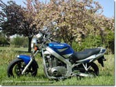 Suzuki GS 500