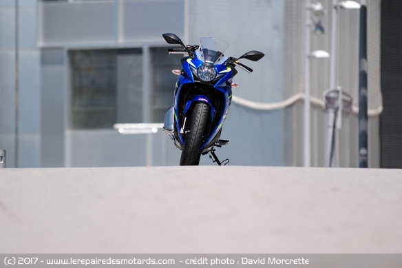 Suzuki GEX 250