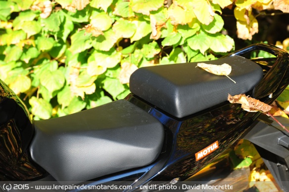 Double selle