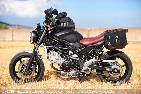 Equipement Suzuki SV Scrambler