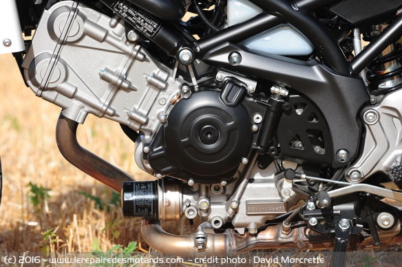 Le twin 650 cm3 issue de la Gladius