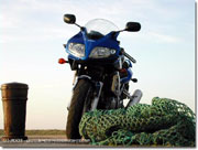 Suzuki SV 1000 S