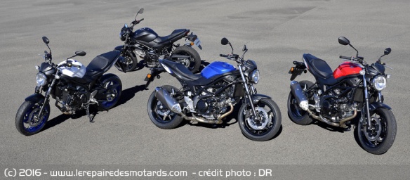 Coloris Suzuki SV 650