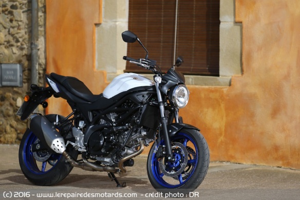 Statique Suzuki SV 650