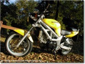 Suzuki SV 650 N