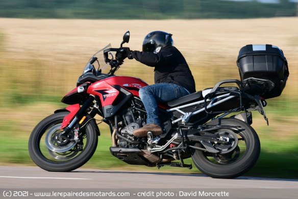 Triumph Tiger 900 GT Pro sur départementales