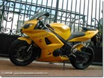 Triumph Daytona 600