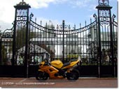 Triumph Daytona 600