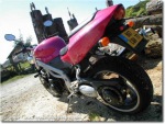 Triumph Speed Triple 955i