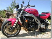 Triumph Speed Triple 955i