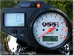 Triumph Speed Triple 955i